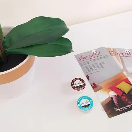 Sherryflat Trébol - Parking Jerez de la Frontera